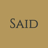 Said Consulting logo - Similar company to Activ Zone Group