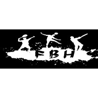 FBH logo - Similar company to Groupe Fbh
