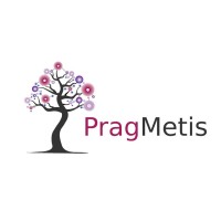 PragMetis logo - Similar company to Elcen Engineers