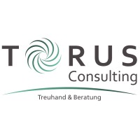 TORUS Consulting AG logo - Similar company to Meritoria Ag