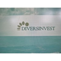 Diversinvest logo - Similar company to Dvs | Multi Family Office