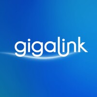 Gigalink logo - Similar company to Stam