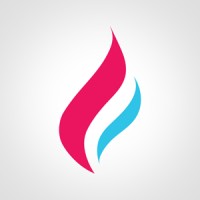 Framero Infotech Private Limited logo - Similar company to Orbittech Technologies