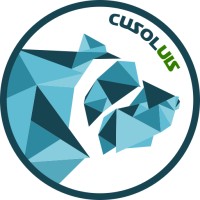 CUSOL-UIS logo - Similar company to Kpi Asset Management Solutions