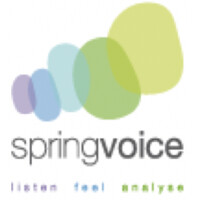SpringVoice Consulting - Paris/NY logo - Similar company to Earthconn Technologies