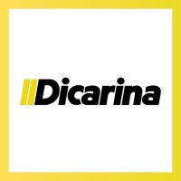 DICARINA logo - Similar company to Estrella Azul