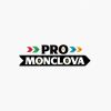 PRO Monclova logo - Similar company to Vellir Homes