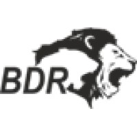 BDR Pharmaceuticals Int'l Pvt Ltd logo - Similar company to Bdr Pharmaceuticals